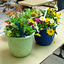 Flower arrangements